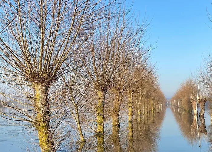 Holiday home Le Paille En Queue Sainte-Mere-Eglise