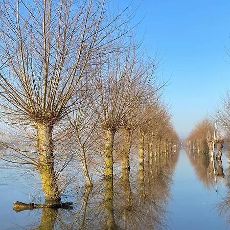 Ferienhaus Le Paille En Queue Sainte-Mère-Église